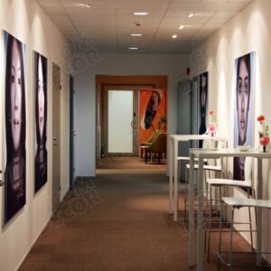 Seinabänner T-Flex 17